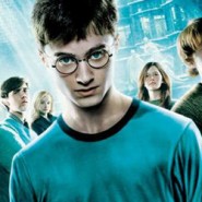 Total Harry Potter Franchise Revenue Total Harry Potter Franchise Revenue