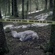 U.S. Homicide Victim Demographics U.S. Homicide Victim Demographics