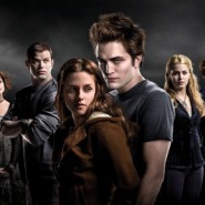 Total Twilight Franchise Sales / Revenue Total Twilight Franchise Sales / Revenue