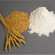 Gluten / Celiac Disease Statistics Gluten / Celiac Disease Statistics