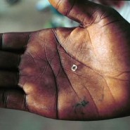 Conflict Diamond Statistics Conflict Diamond Statistics