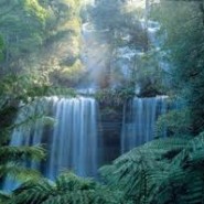 Environmental Statistics Environmental Statistics