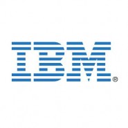 IBM Company Statistics IBM Company Statistics