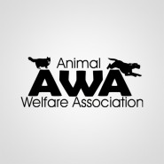 Animal Testing Statistics Animal Testing Statistics