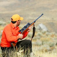 Hunting Statistics Hunting Statistics