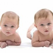 Multiple Birth Statistics Multiple Birth Statistics