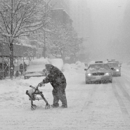 Cold Wave Weather Statistics Cold Wave Weather Statistics