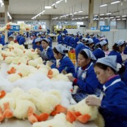 China Manufacturing Statistics China Manufacturing Statistics