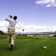 Golf Player Demographic Statistics Golf Player Demographic Statistics