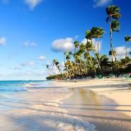 Internet Travel Hotel Booking Statistics Internet Travel Hotel Booking Statistics