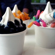 Frozen Yogurt Industry Statistics Frozen Yogurt Industry Statistics